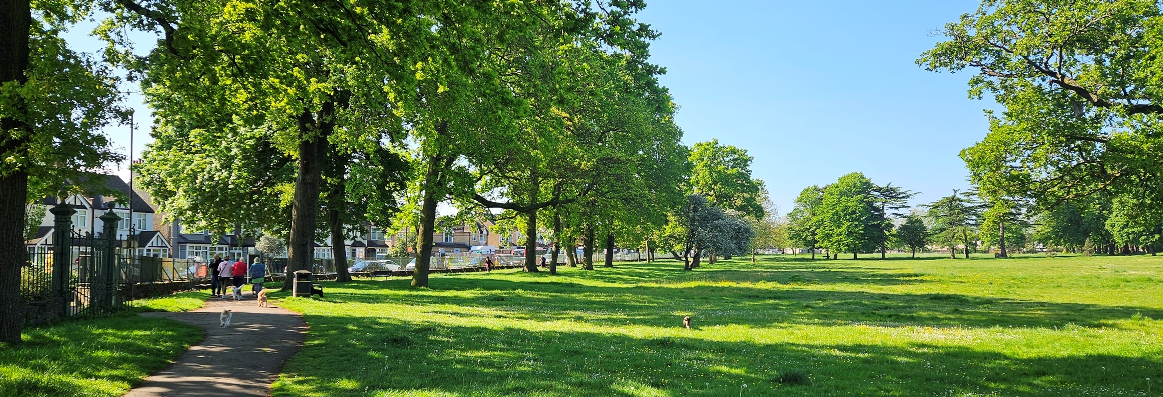 Ashburton-park-newspage
